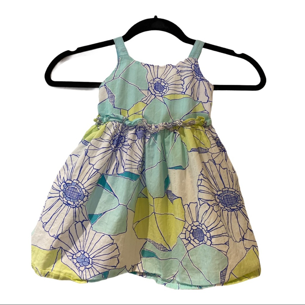Gymboree Dress 12-18mo Light Weight Lined Buttons